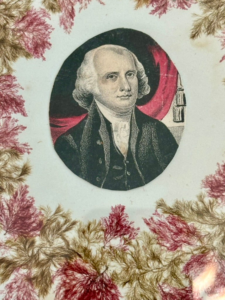 Framed Victorian Seaweed Wreath with a Possibly Presidential Center Image