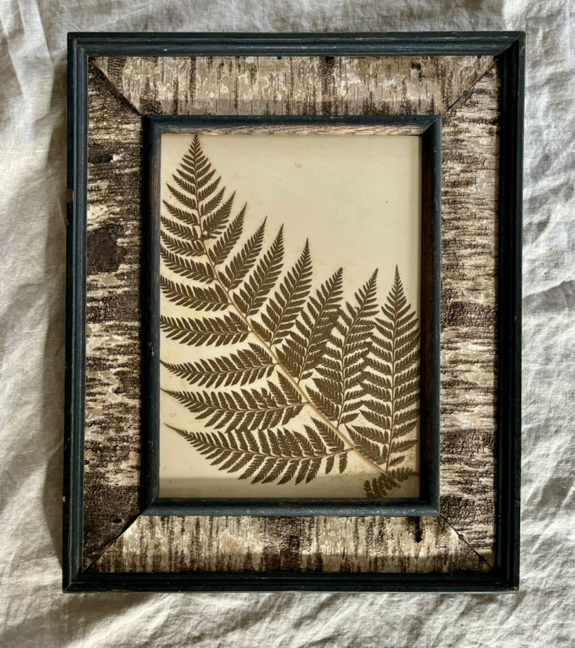 Victorian Pressed Fern in a Vintage Birch Bark Adirondack Style Frame