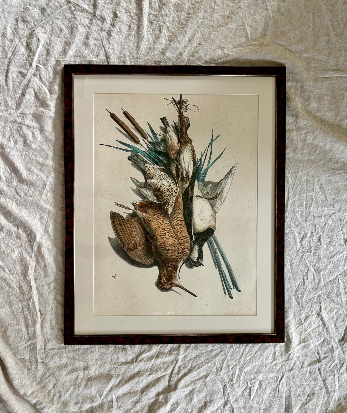 19th Century ‘Etude de Nature Mort’ Hunting Trophy Lithograph
