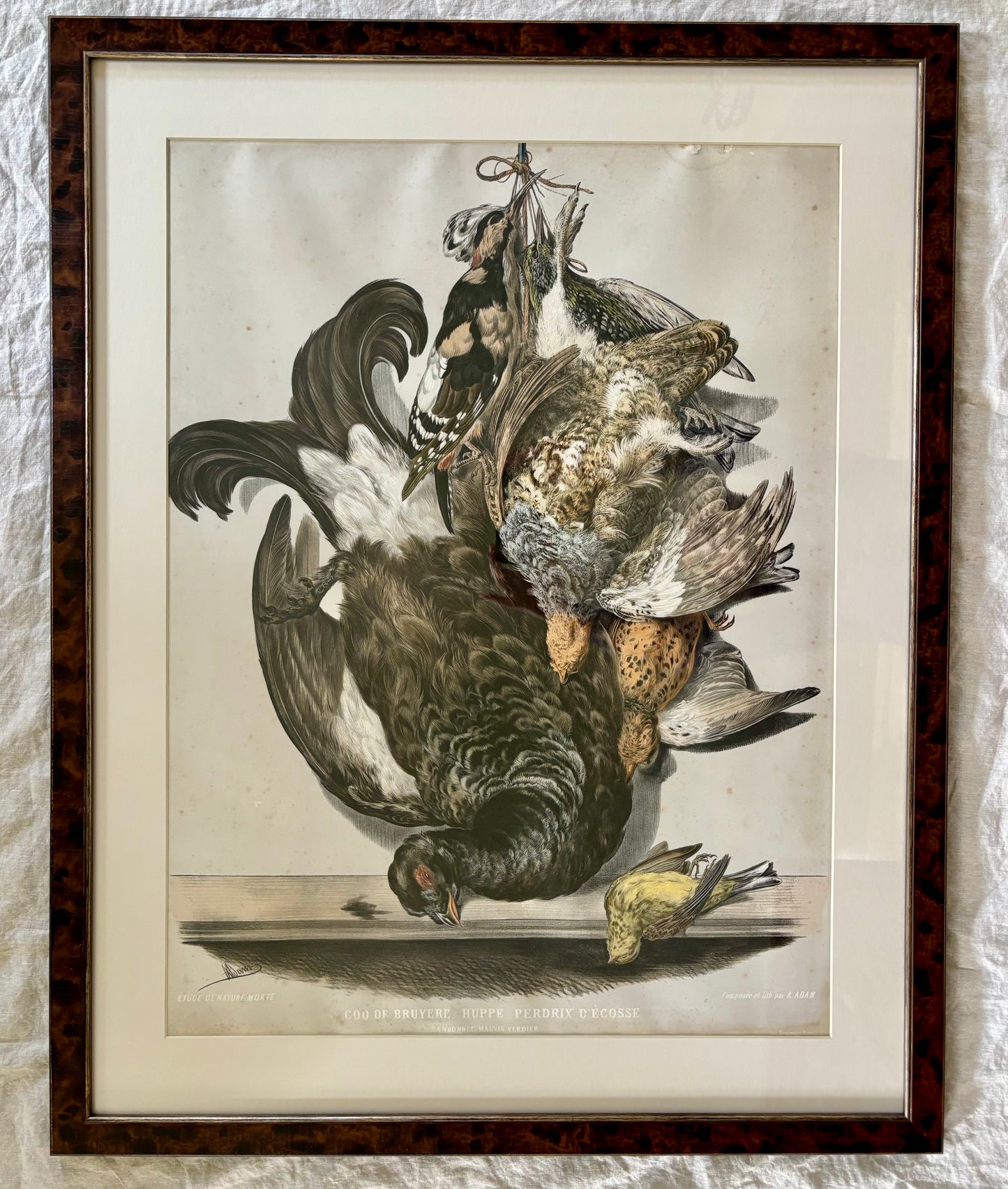 Framed 19th Century ‘Etude de Nature Mort’ Hunting Trophy Lithograph