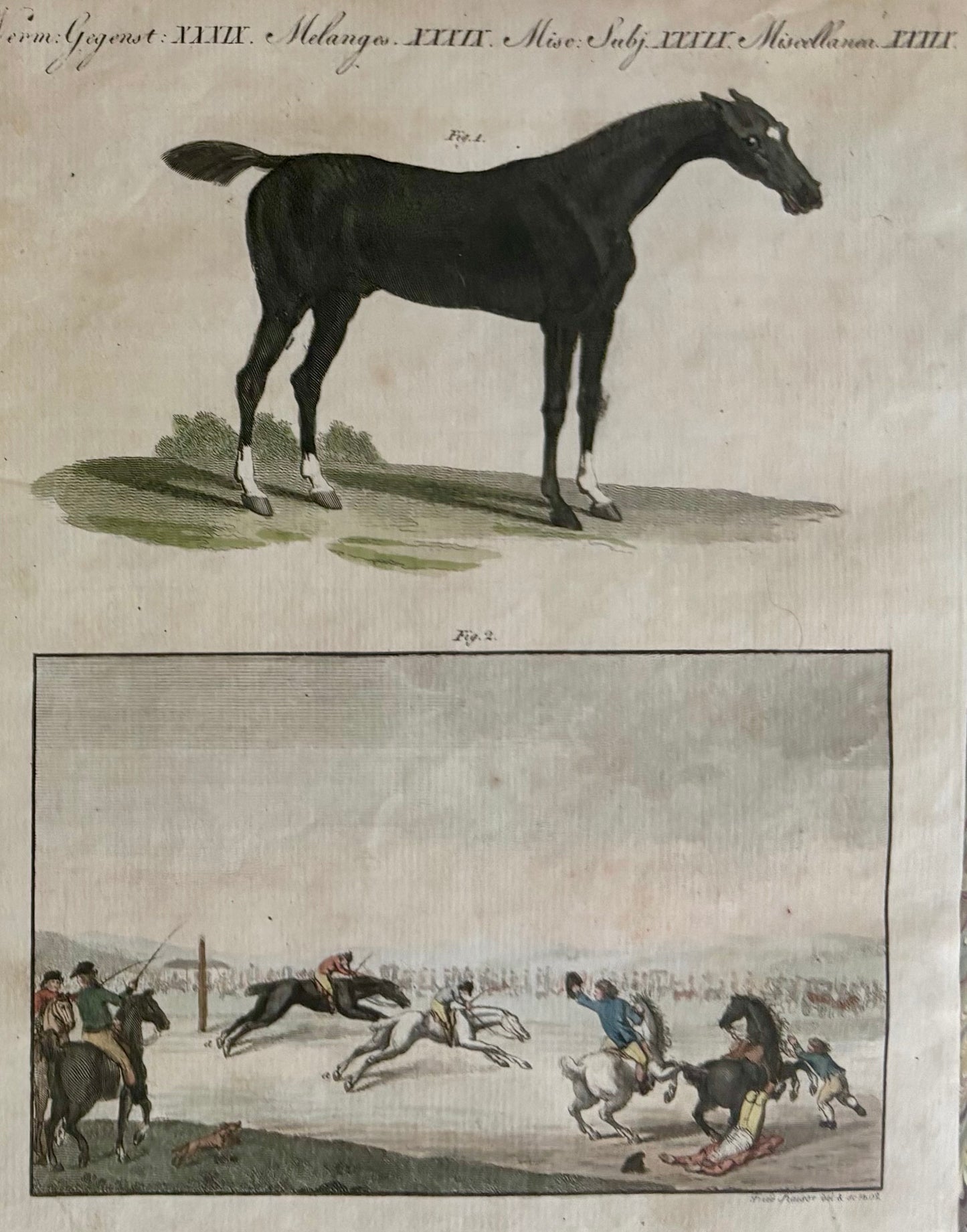 Framed 18th Comte de Buffon Engraving of ‘English Horses’