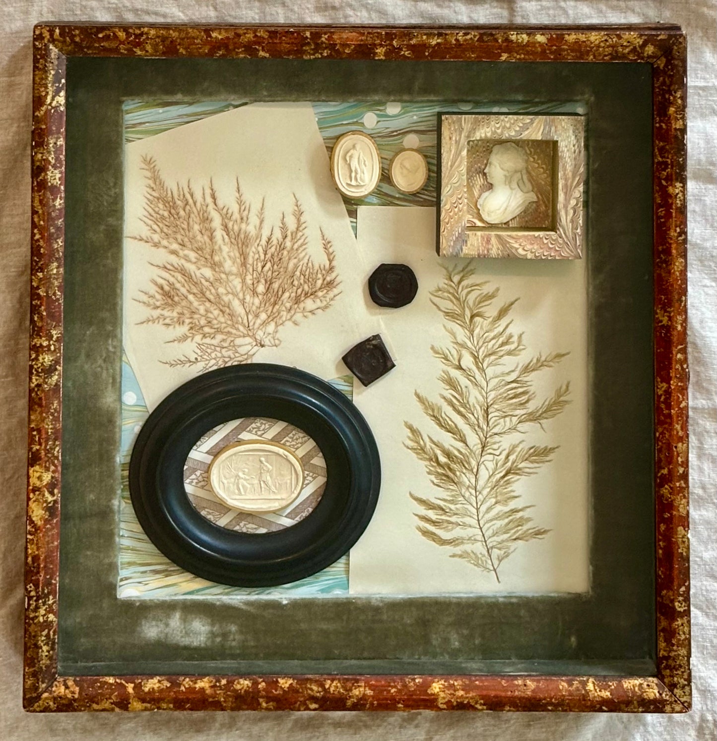 Assemblage of 19th Century Objects in an English Country House Shadowbox