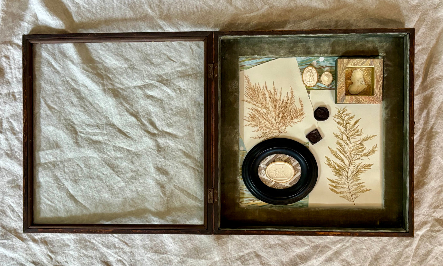 Assemblage of 19th Century Objects in an English Country House Shadowbox