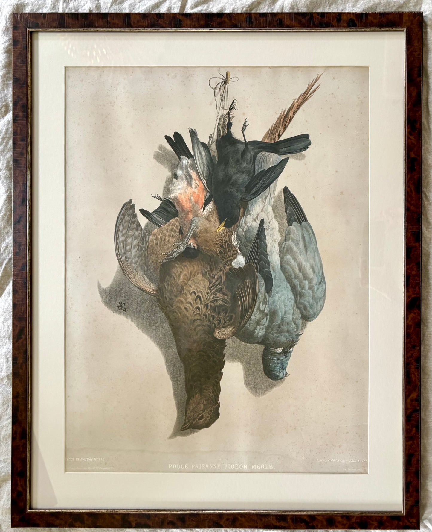 19th Century ‘Etude de Nature Mort’ Hunting Trophy Lithograph