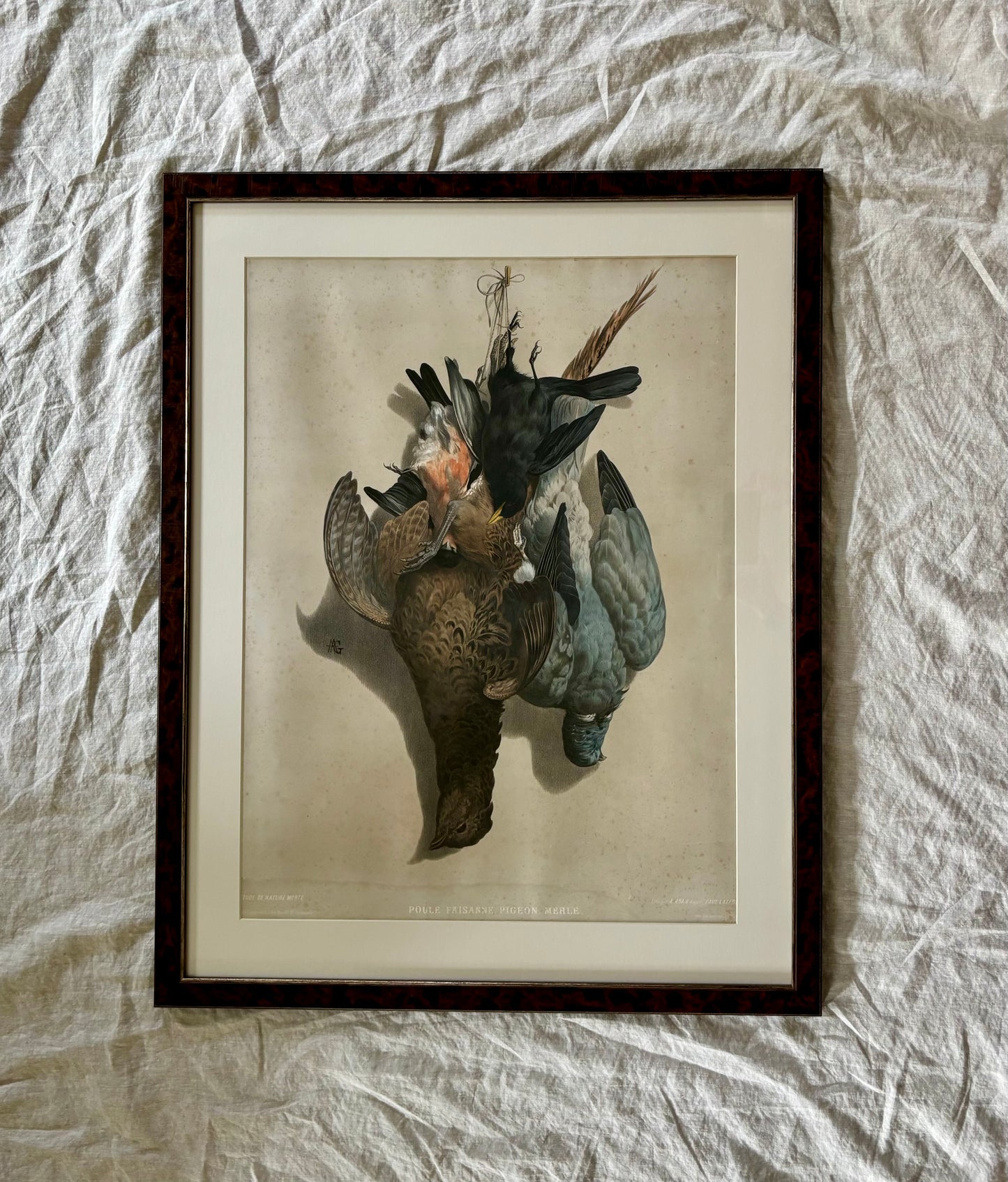 19th Century ‘Etude de Nature Mort’ Hunting Trophy Lithograph