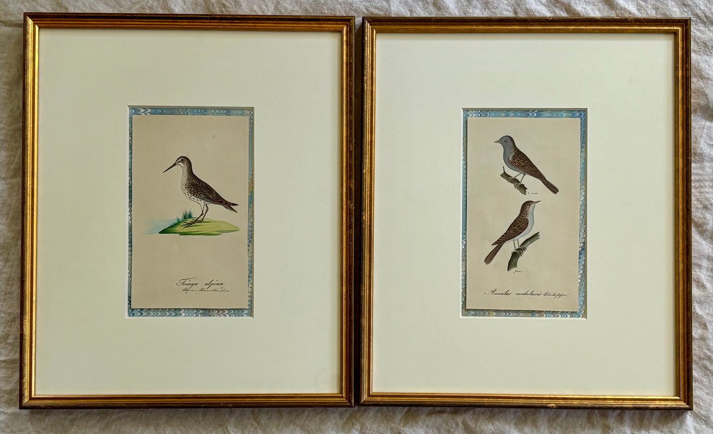 A Pair of Early 19th Century Naturalist Watercolors of Birds