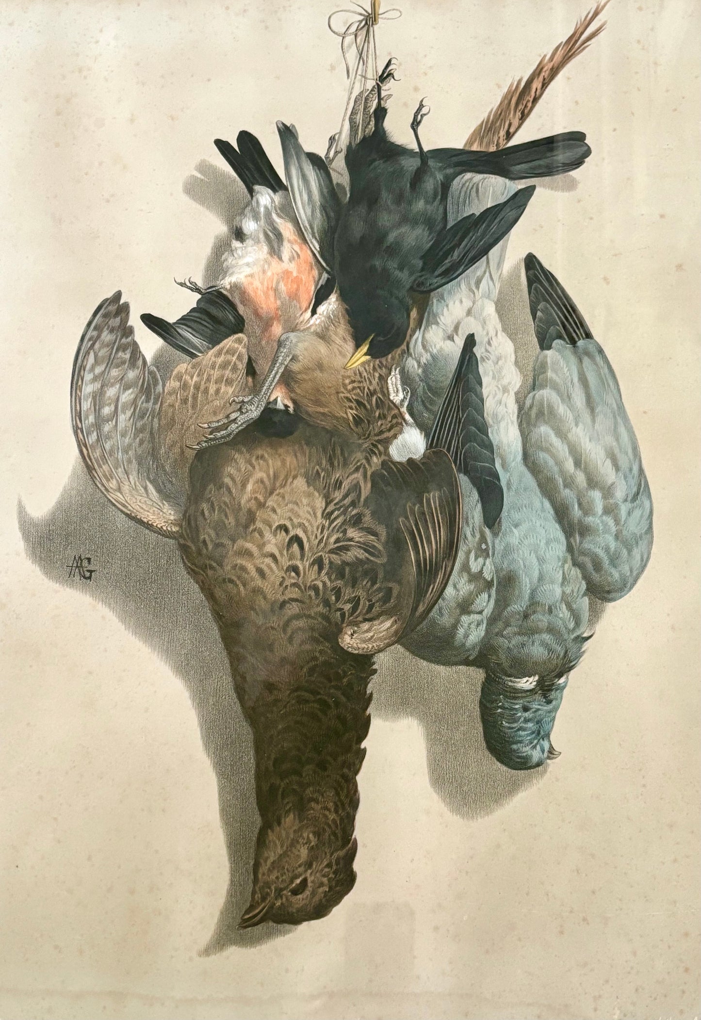 19th Century ‘Etude de Nature Mort’ Hunting Trophy Lithograph
