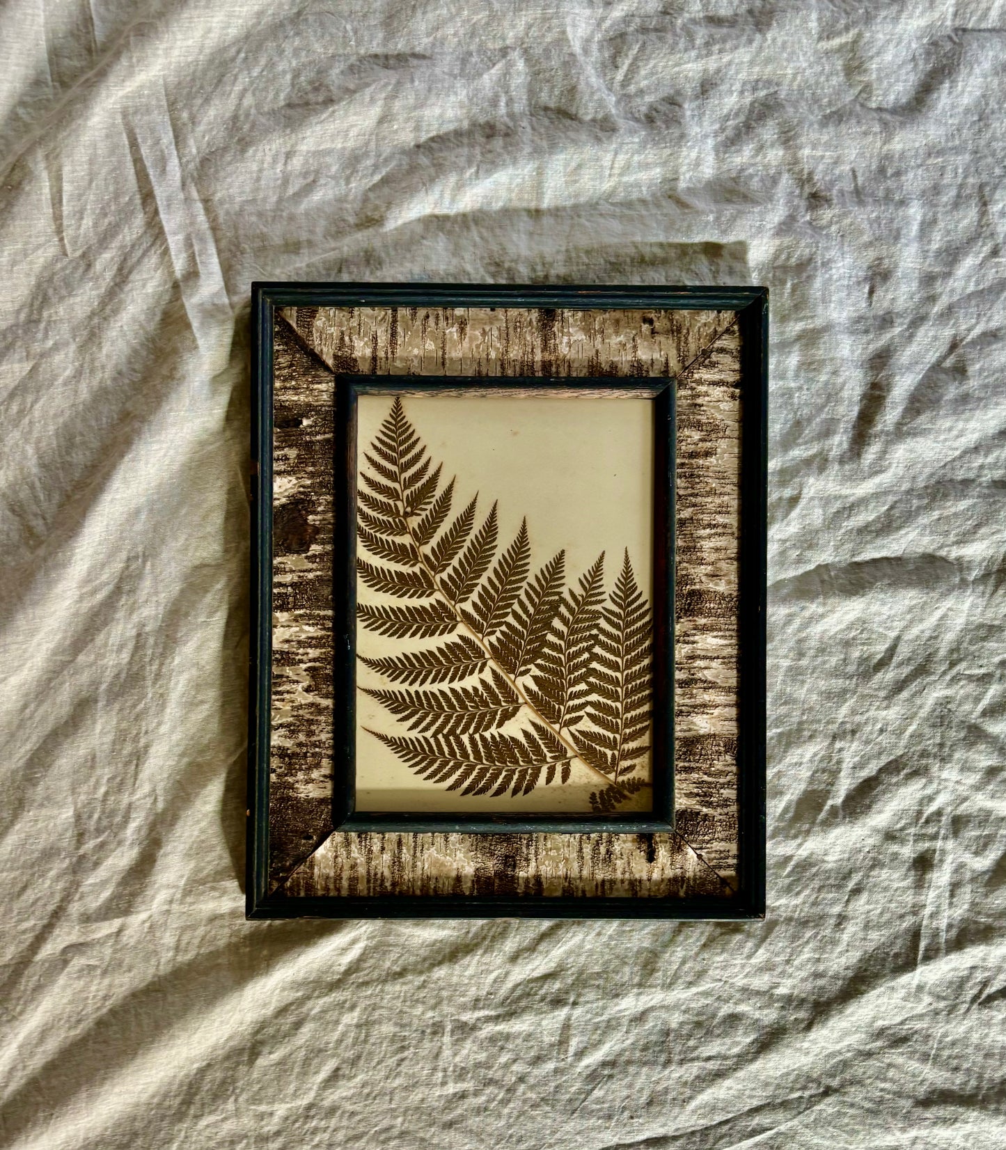 Victorian Pressed Fern in a Vintage Birch Bark Adirondack Style Frame