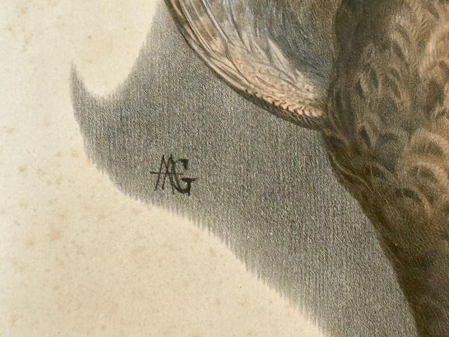 19th Century ‘Etude de Nature Mort’ Hunting Trophy Lithograph