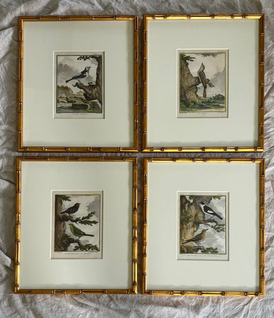 Quartet of Engravings of Birds by De Seve for Buffon's "Histoire Naturelle Generale et Particuliere Avec la Description du Cabinet du Roi"