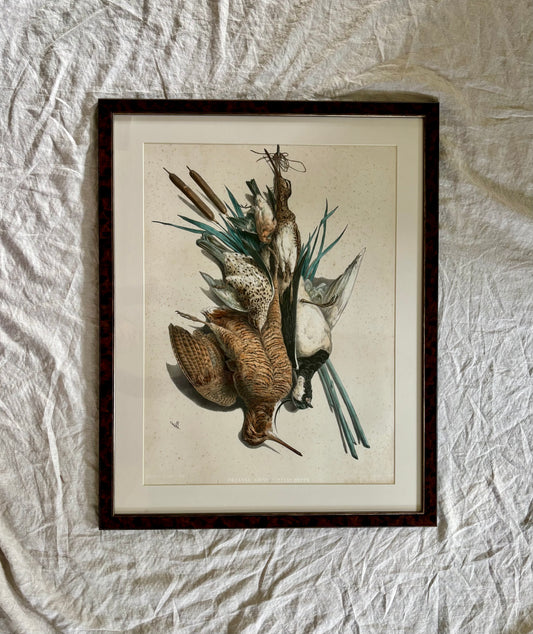 19th Century ‘Etude de Nature Mort’ Hunting Trophy Lithograph