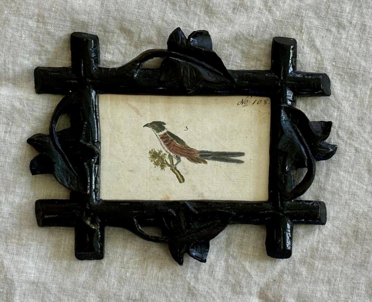 Delightful Early 19th Century Naturalist Watercolor of a Pheasant in a Black Forest Frame