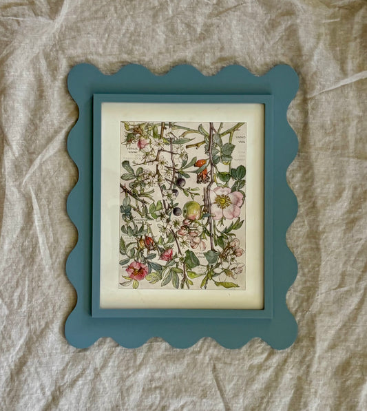 Framed Plate from Isabel Adams’ ‘Wild Flowers of the British Isles’