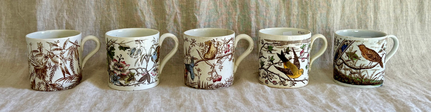 Collection of Five Children's Staffordshire Bird and Alphabet Mugs