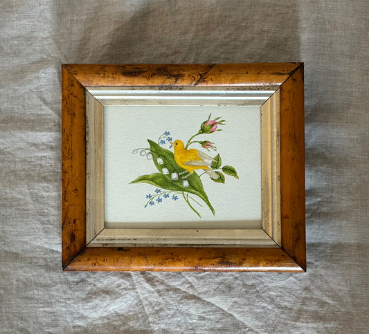 19th Century English Watercolor of a Bird