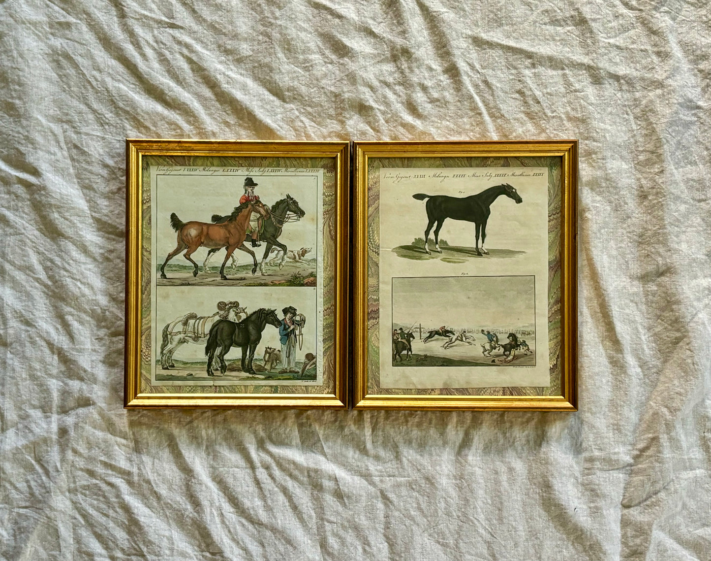 Pair of Burtuch Engravings of English and French Horses