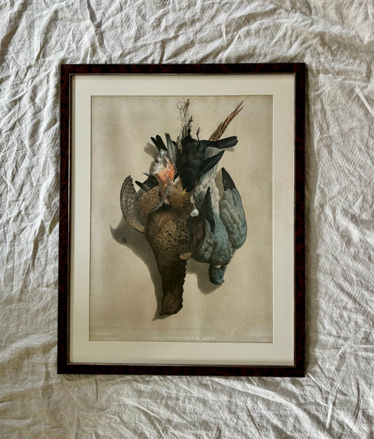 19th Century ‘Etude de Nature Mort’ Hunting Trophy Lithograph