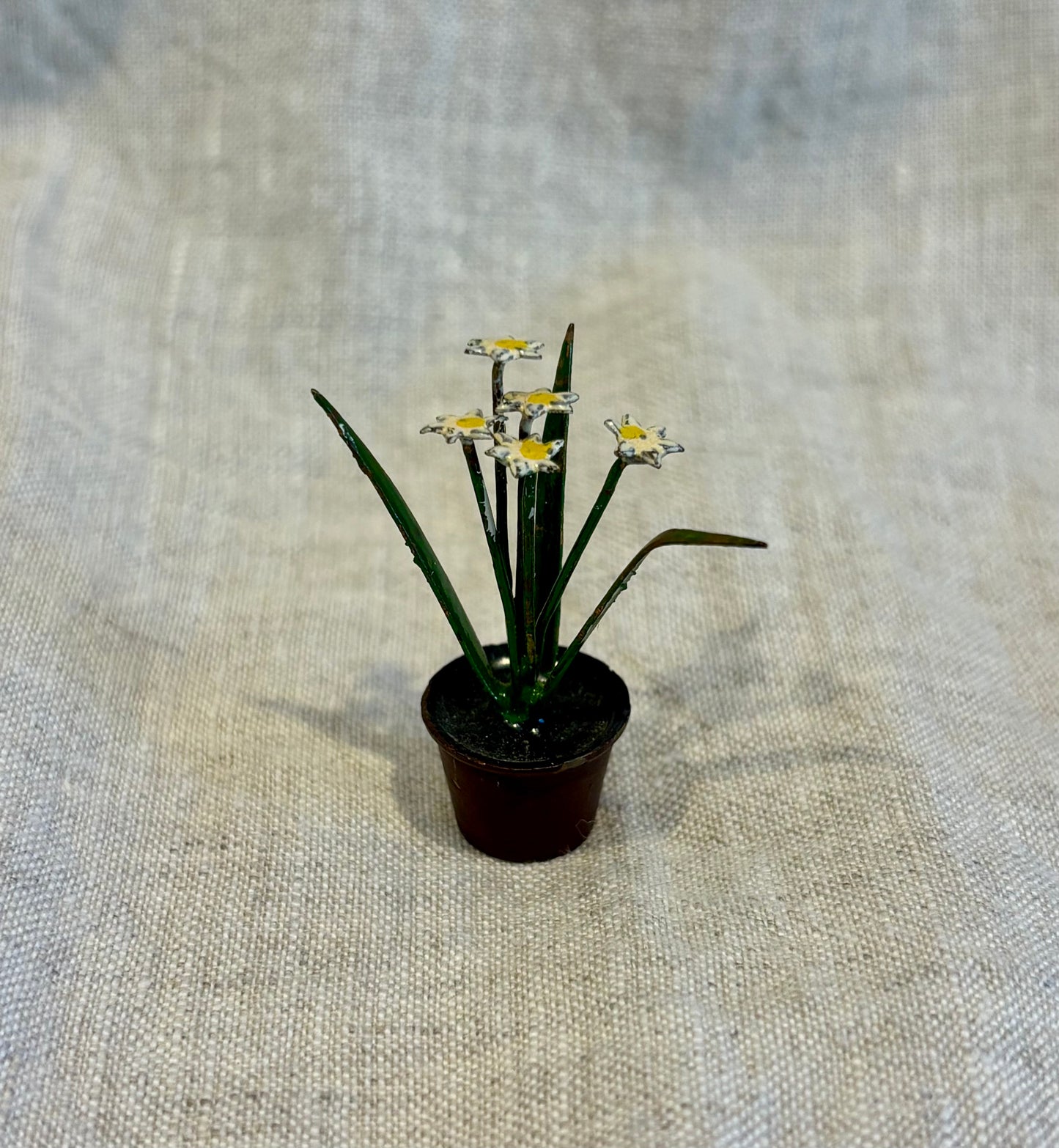Miniature Bronze Paperwhites