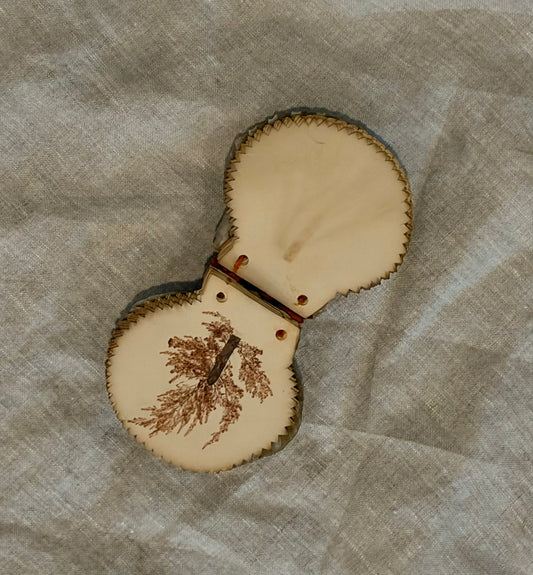 19th Century Pressed Seaweed Album in a Scallop Shell Binding