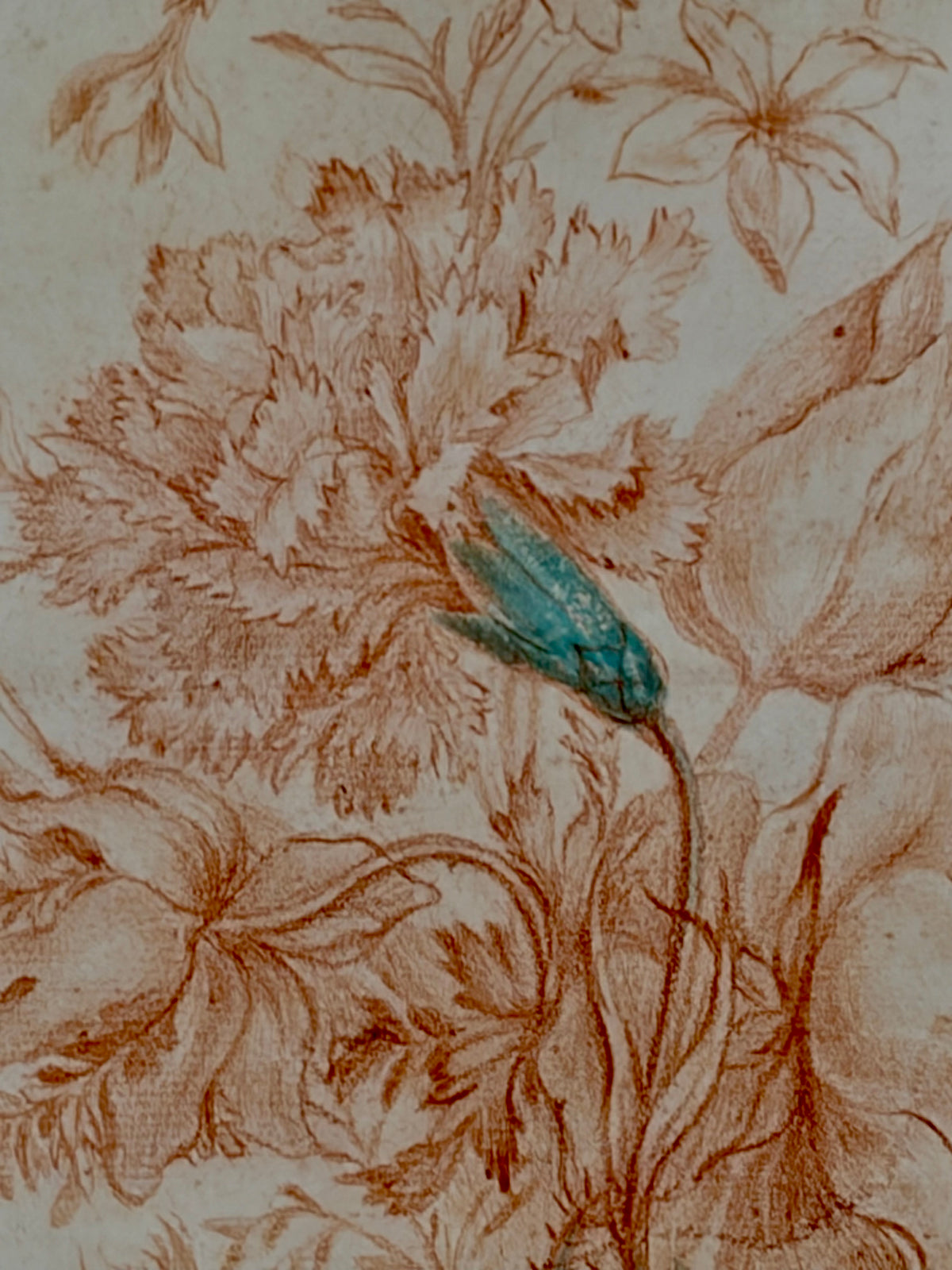 18th Century Sanguine Drawing of a Flower Bouquet
