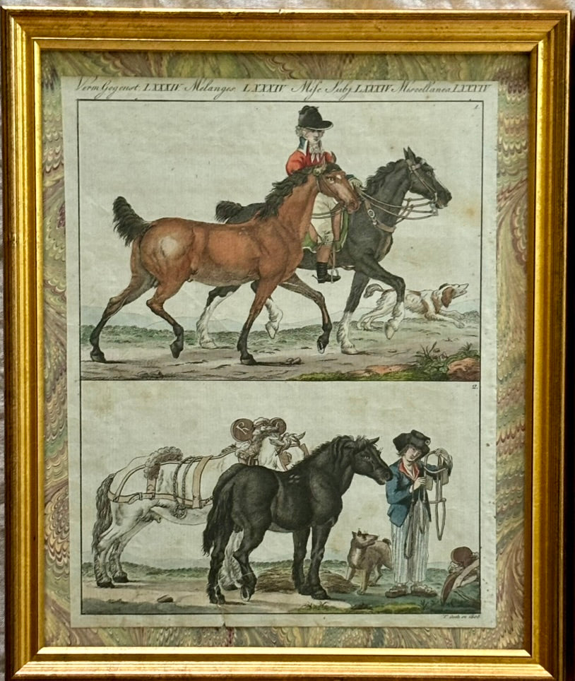 Pair of Burtuch Engravings of English and French Horses