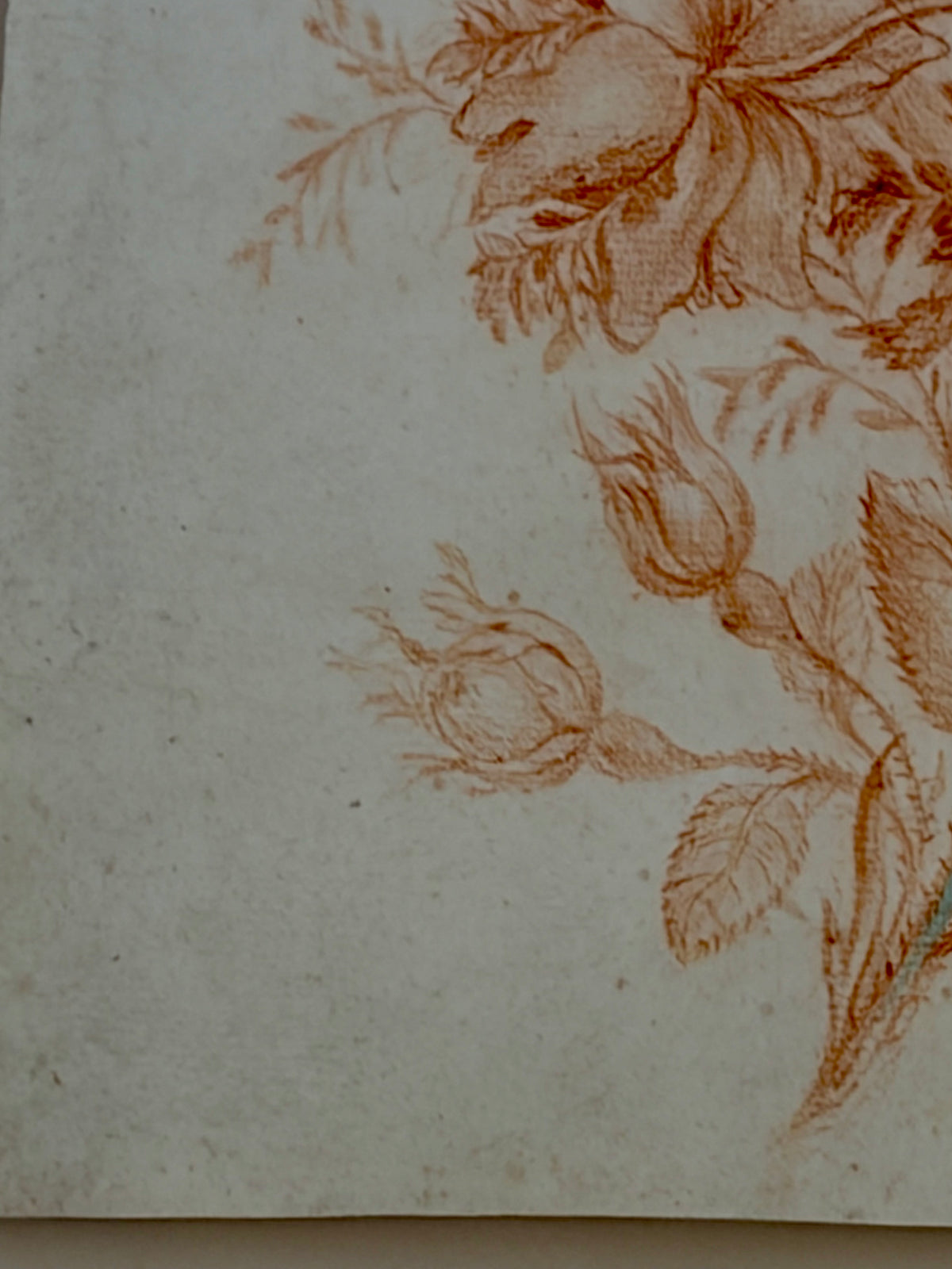 18th Century Sanguine Drawing of a Flower Bouquet