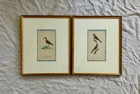 A Pair of Early 19th Century Naturalist Watercolors of Birds