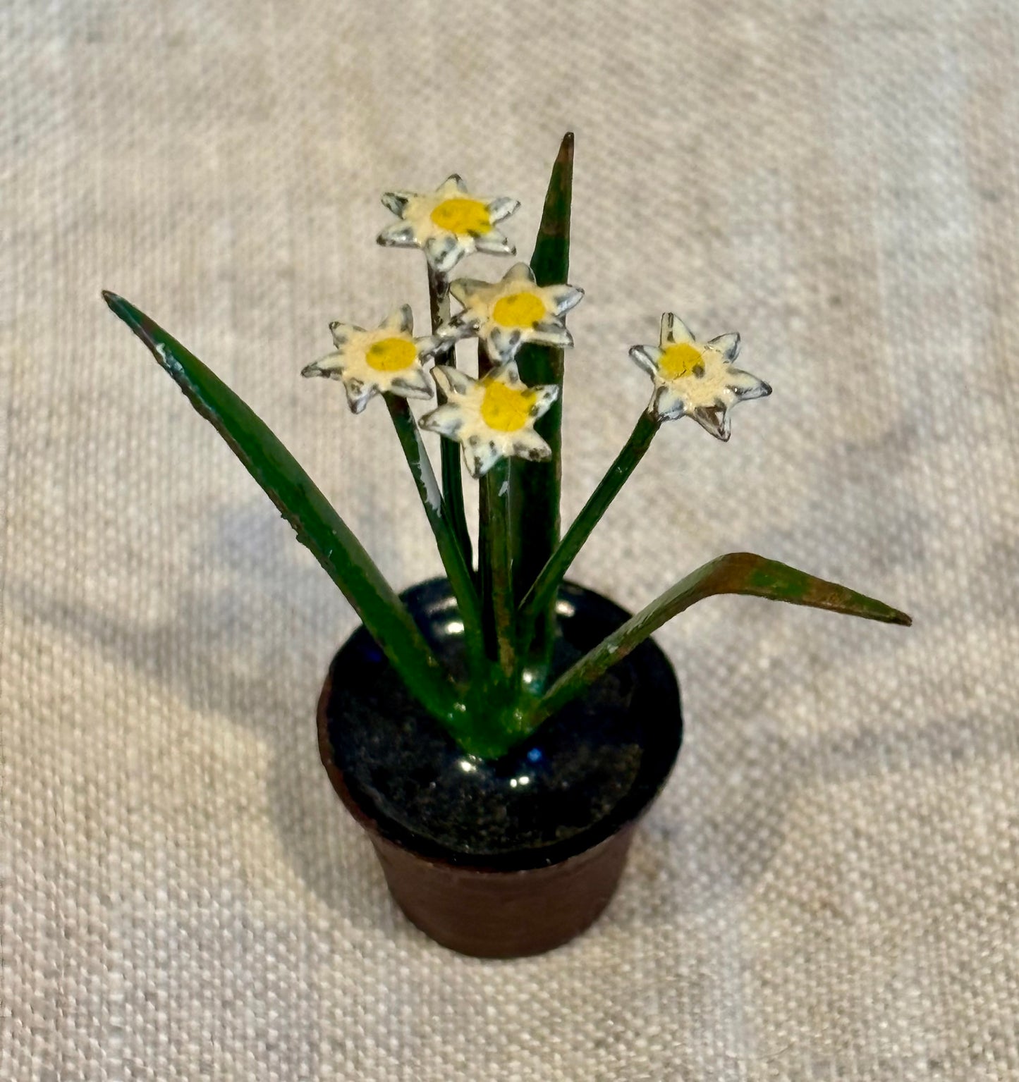Miniature Bronze Paperwhites