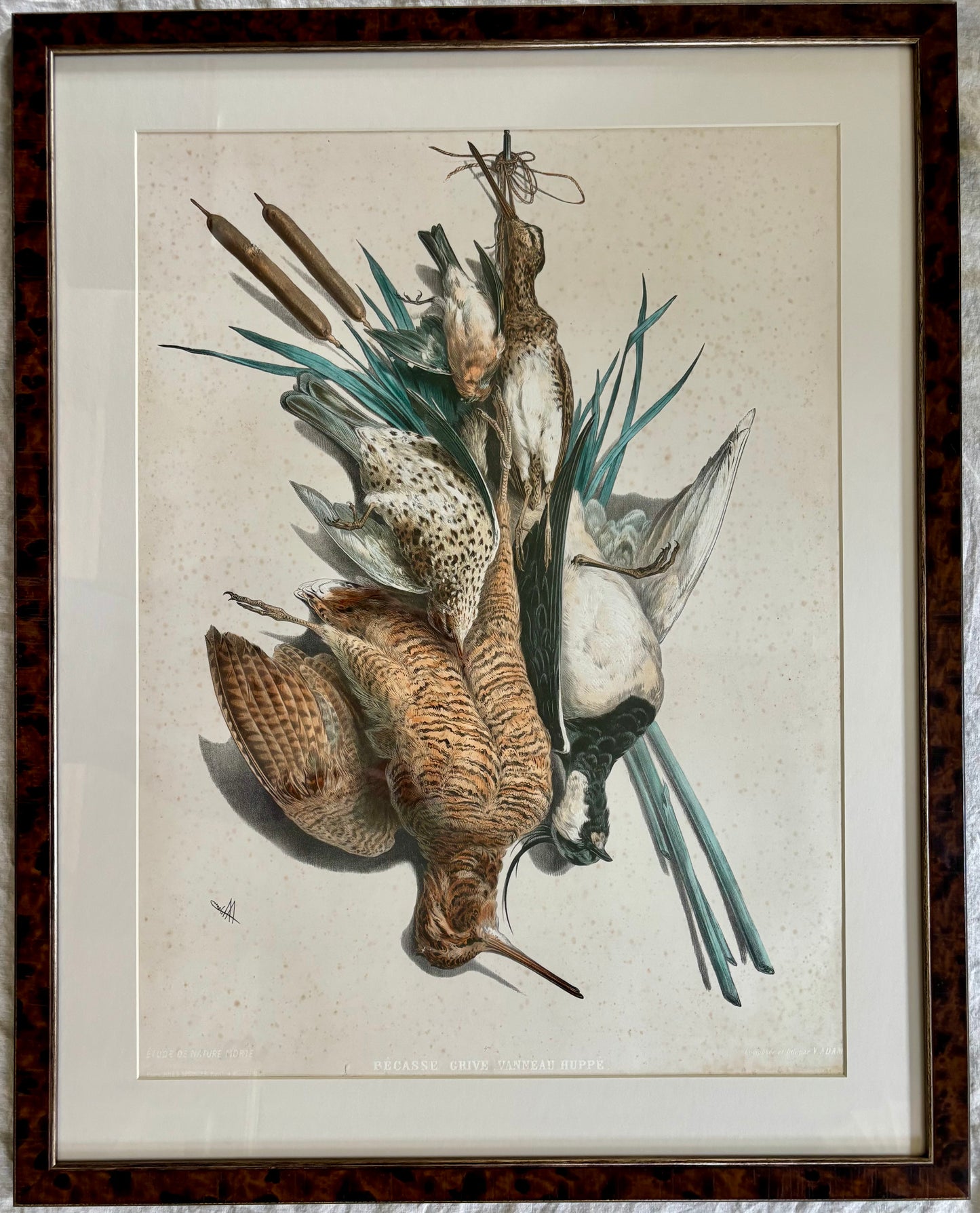 19th Century ‘Etude de Nature Mort’ Hunting Trophy Lithograph