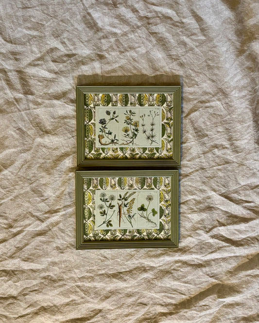 Pair of Framed Victorian Wildflower Prints Mounted on Italian Paper